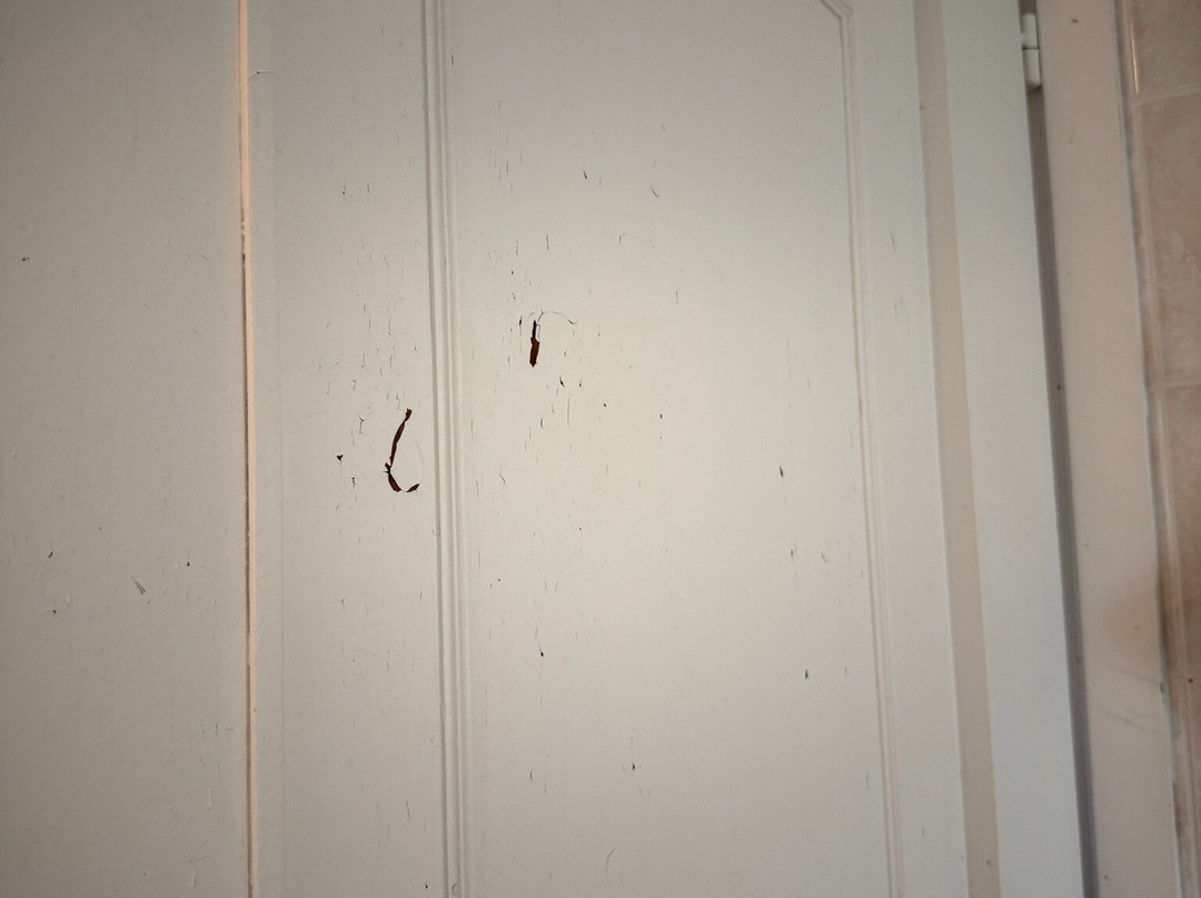 Dependence del Parco主图