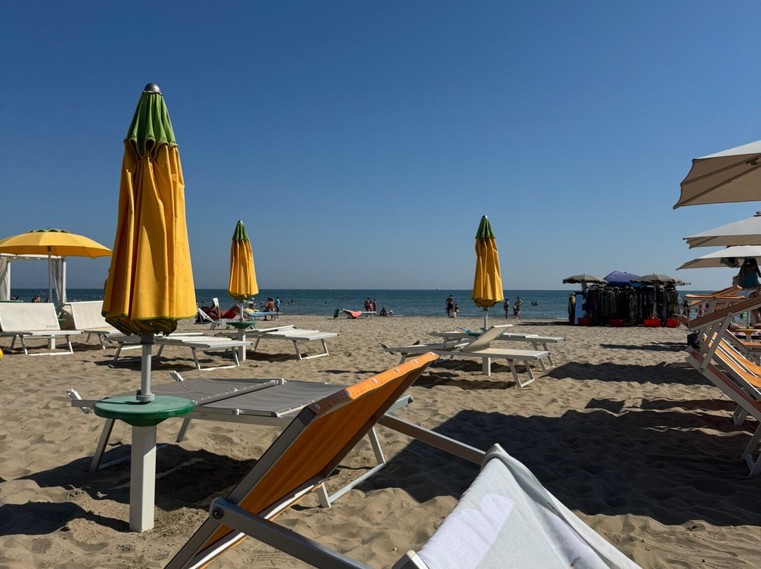 Rimini Dog No Problem - Bagno 81-里米尼必去景点