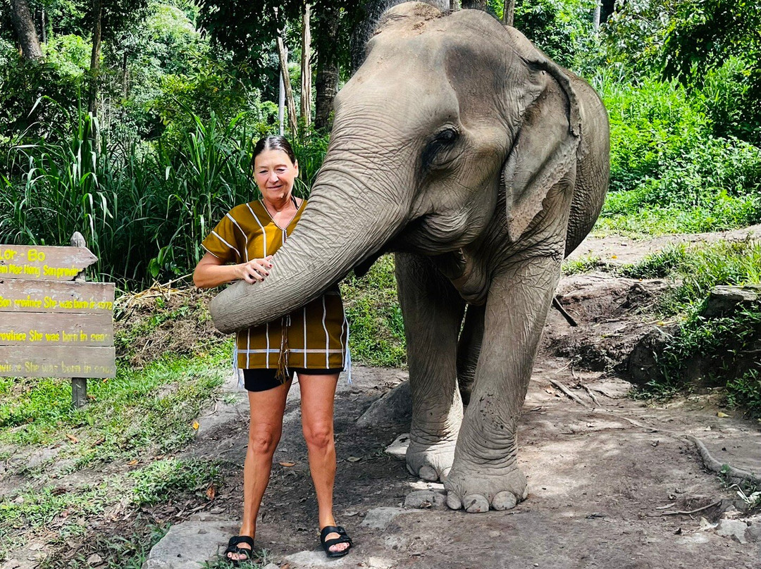 Chiangmai Elephant Sanctuary-清迈必去景点