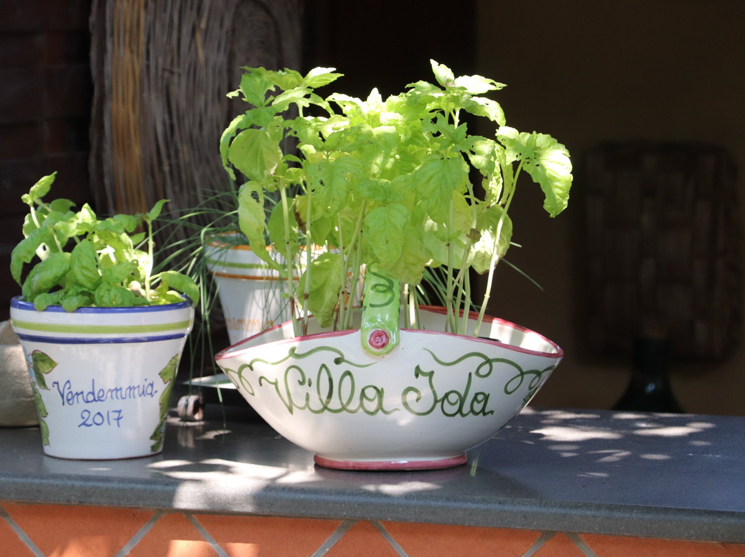 Villa Ida Cooking Lessons-索伦托必去景点