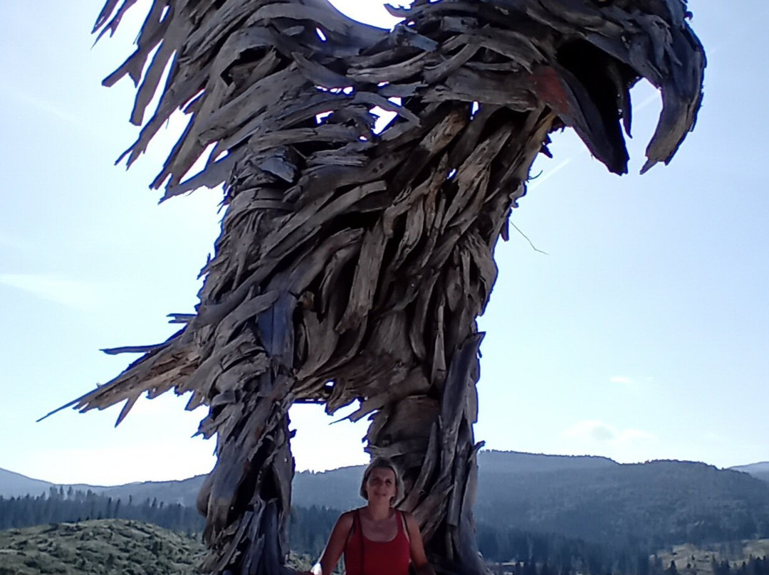 Aquila Vaia di Marcesina-Grigno必去景点