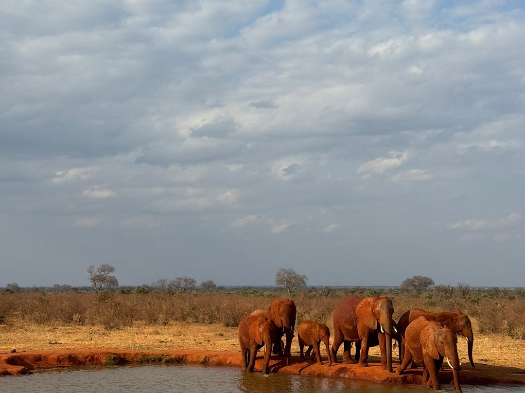 Truentum Tours & Safaris-查佛必去景点