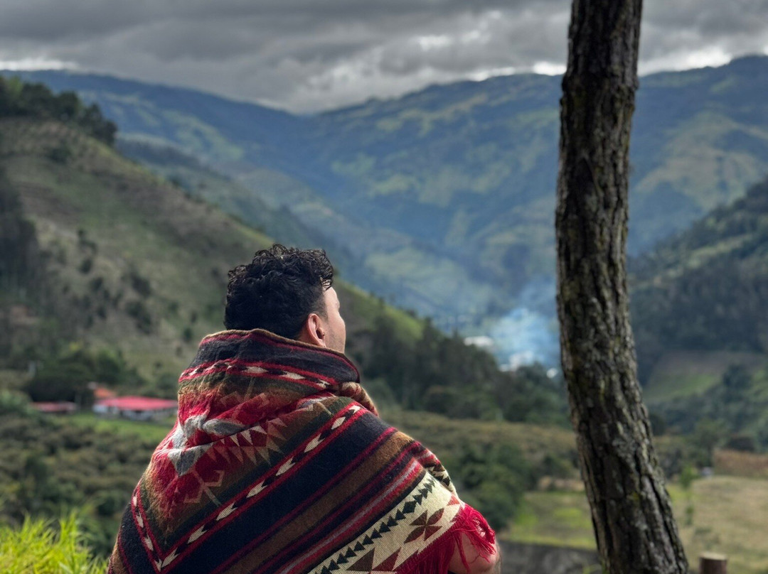 Urapanes Del Bosque主图