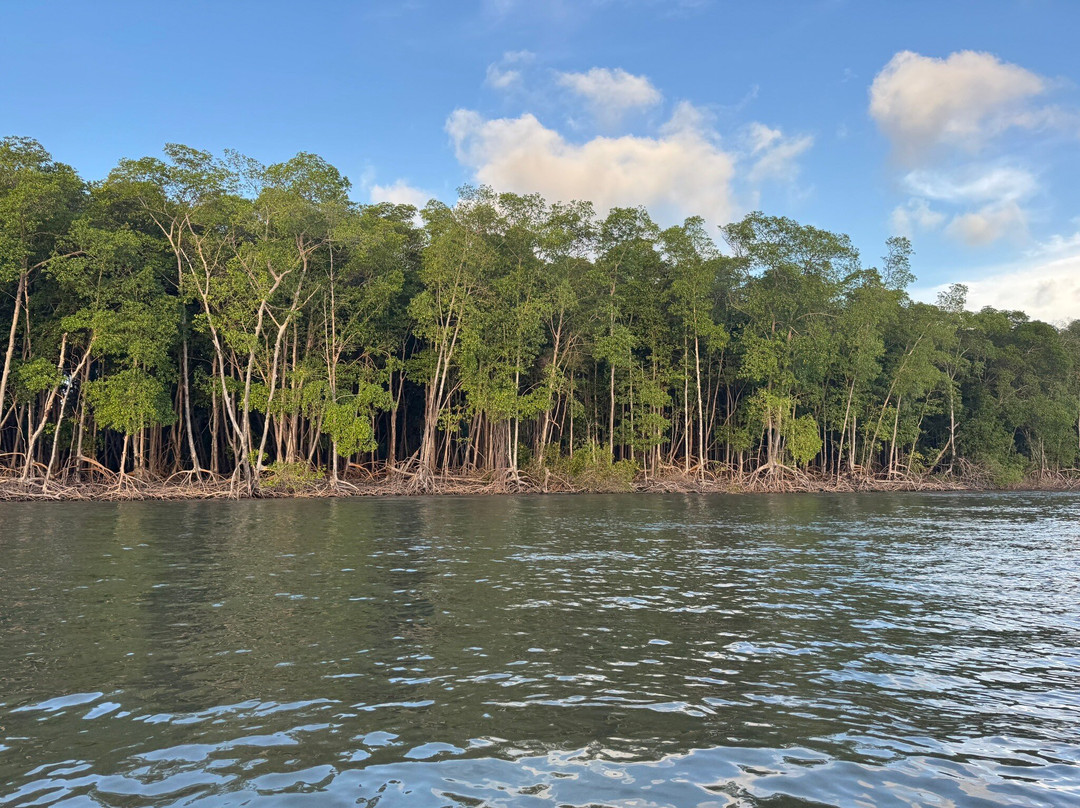 Parnaiba Delta-Parnaiba必去景点