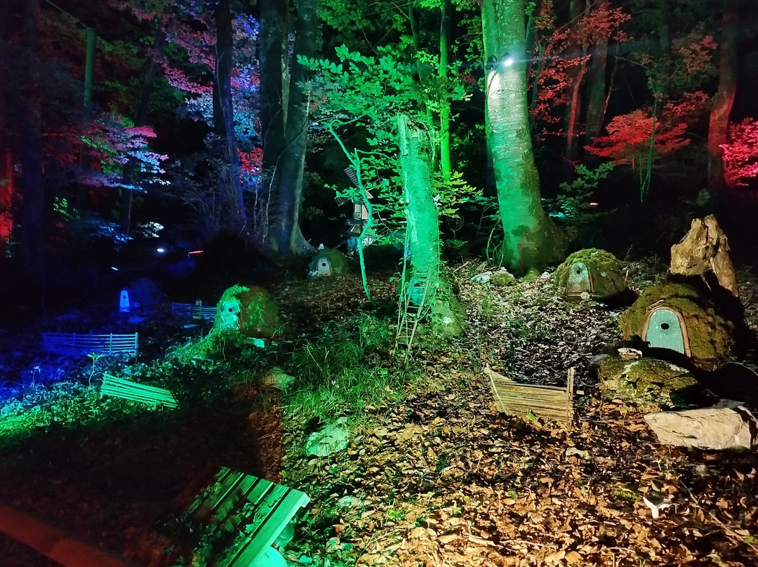 Lumina Milia-Ampezzo必去景点