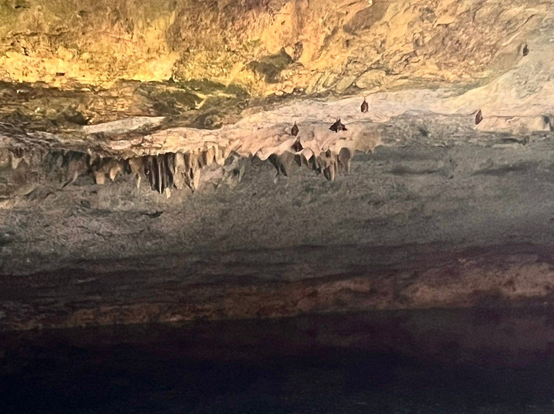 Lucayan Caverns-Lucayan National Park必去景点