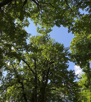 Shhapovo Estate-Shchapovo必去景点