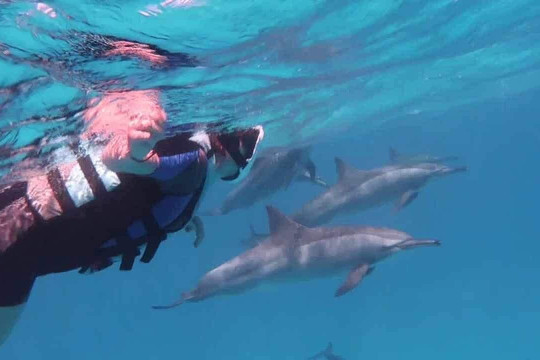 Freebird Travel-马萨阿拉姆必去景点