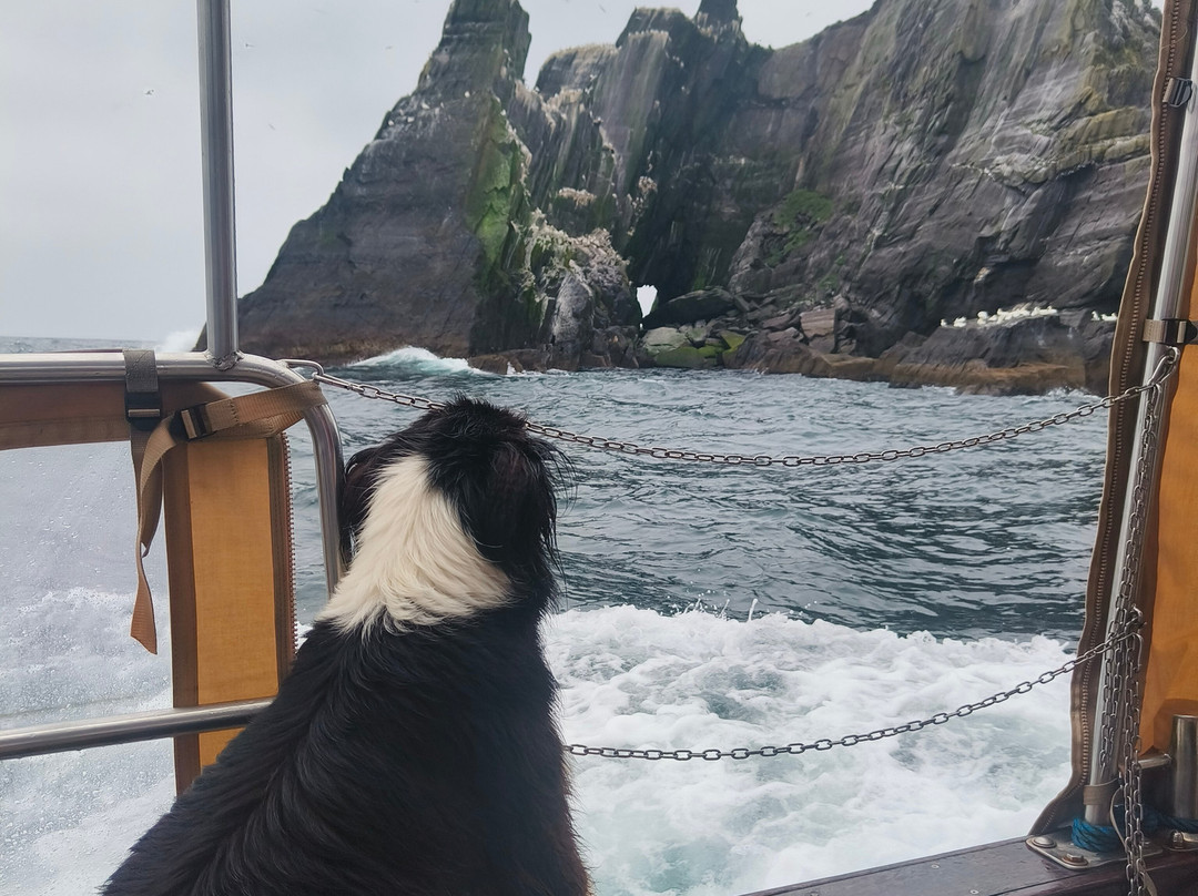 Skellig Tours-Caherdaniel必去景点