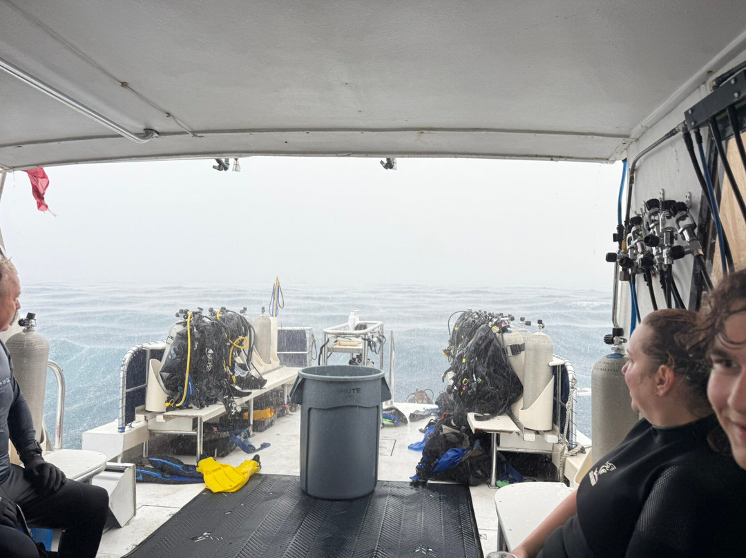 Dive Bermuda at Somerset-Sandys Parish必去景点