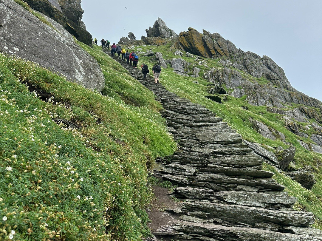Skellig Falcon-Ballinskelligs必去景点