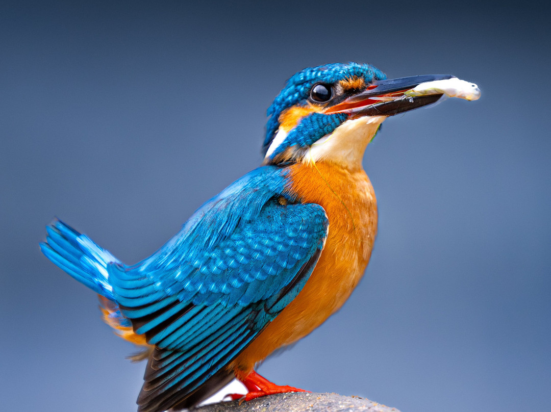 North Lanka Nature Trails-Kilinochchi必去景点