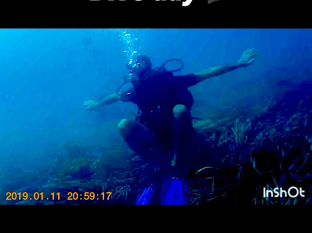 Mardays Dive & Water Experience-哈韦阿必去景点