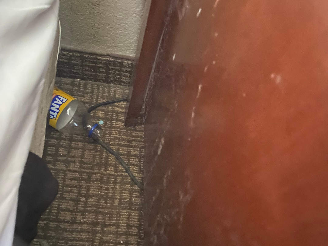 Comfort Inn Festus主图