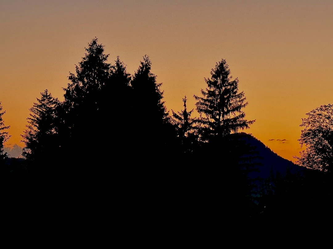 Landhotel Rosentaler Hof主图