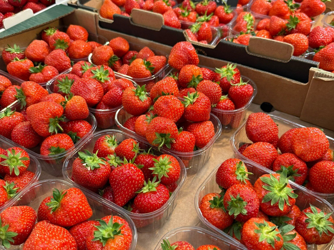 The Marina Market-科克必去景点