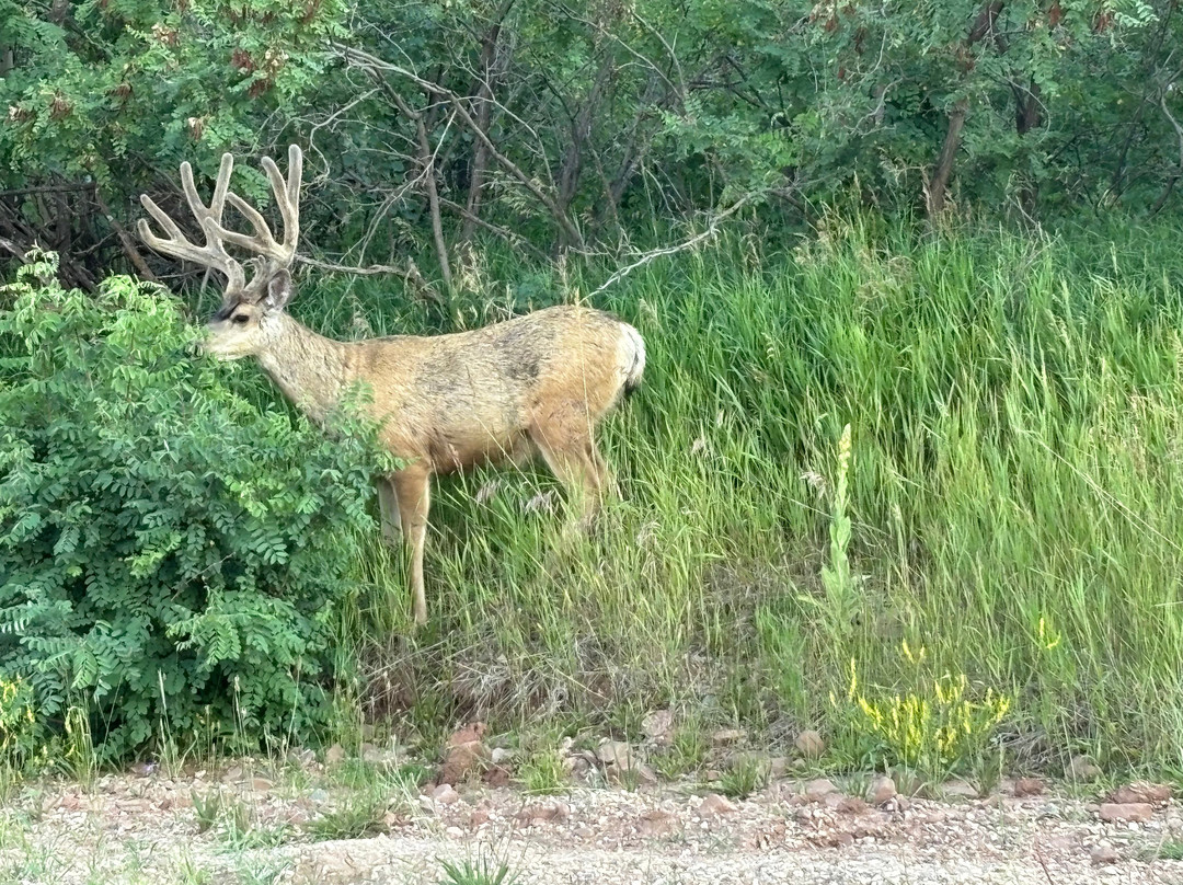 Cuchara Valley Resort-Cuchara必去景点