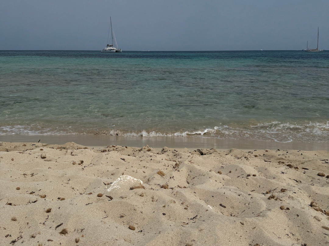 Platja Des Cavallet-伊维萨城区必去景点