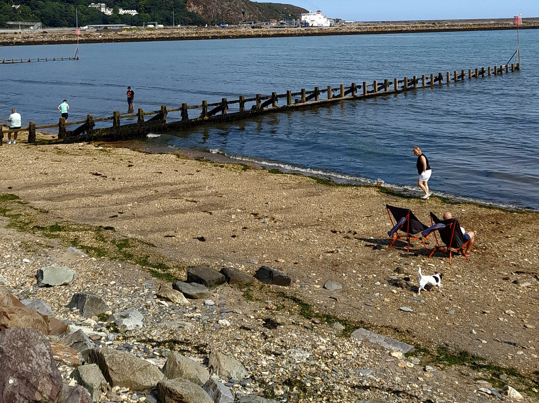 Plas Hyfryd Country Hotel主图