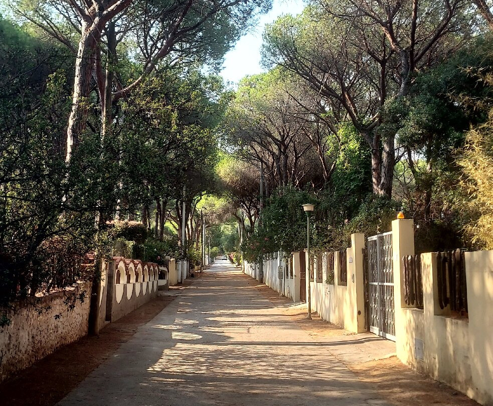 Spiaggia Santa Margherita di Pula-Santa Margherita di Pula必去景点