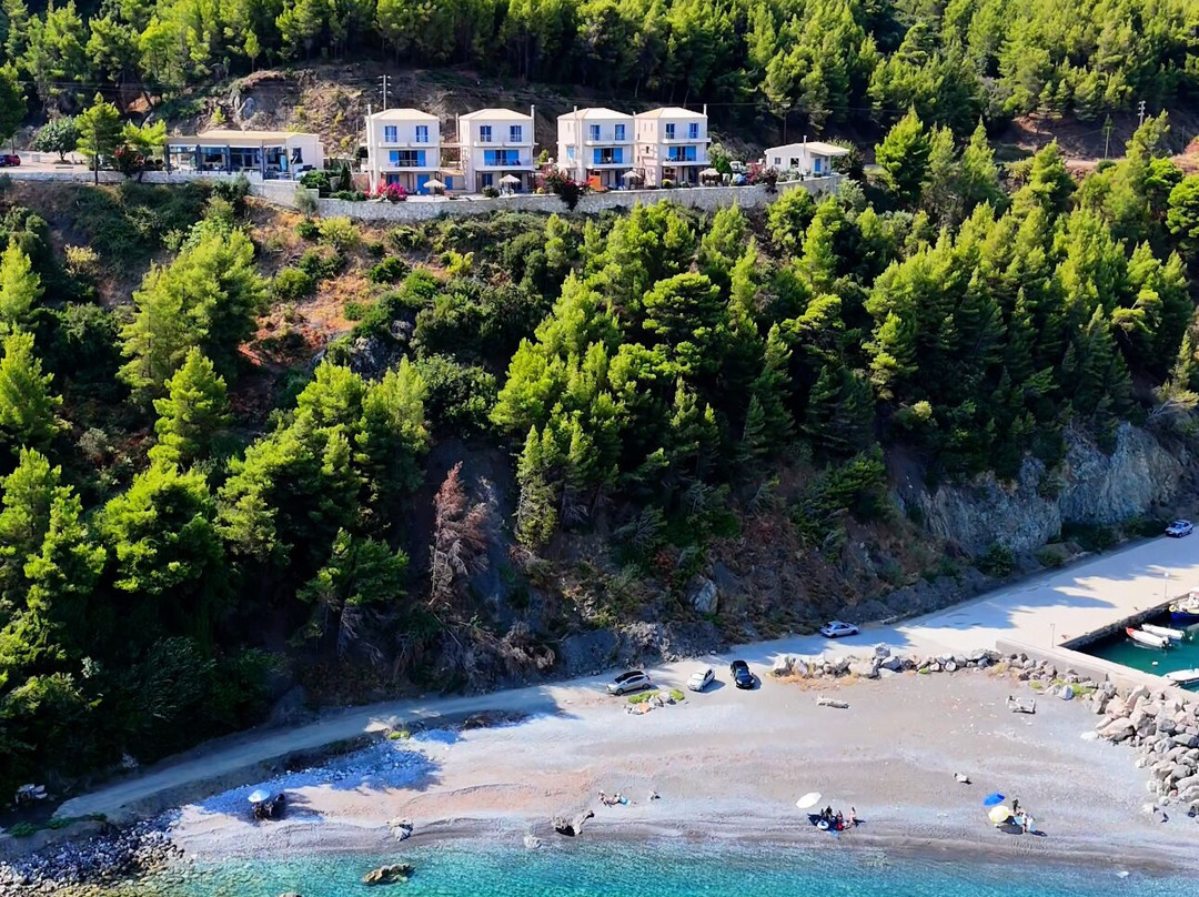 Xenia Residence主图