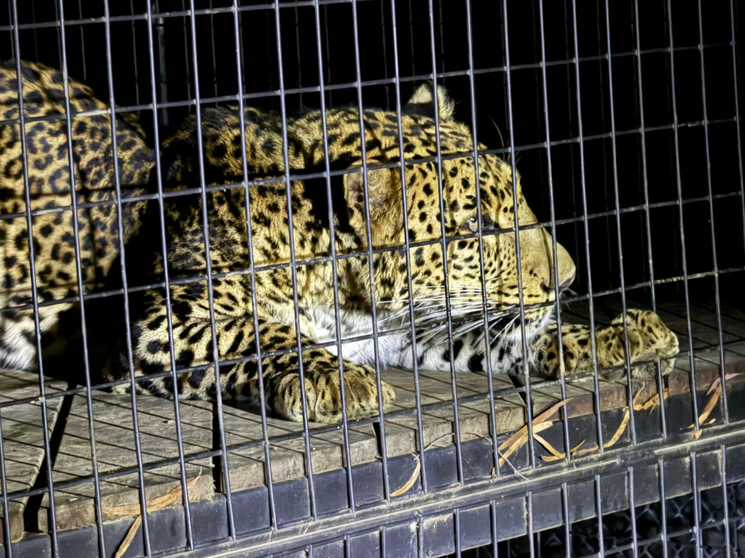 塔斯马尼亚动物园-Riverside必去景点