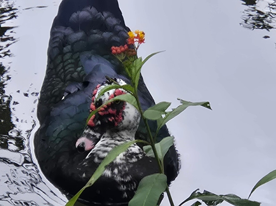 Spring Paradise Bijagua Tours-Bijagua de Upala必去景点