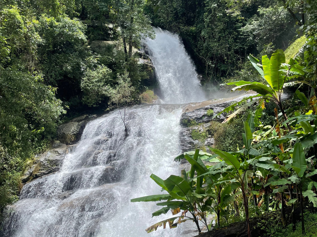 Bees - Burm And Emily's Elephant Sanctuary-夜占必去景点