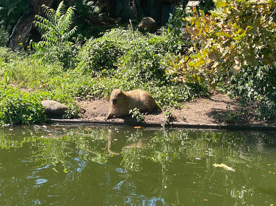 Zoo Karlsruhe-卡尔斯鲁厄必去景点