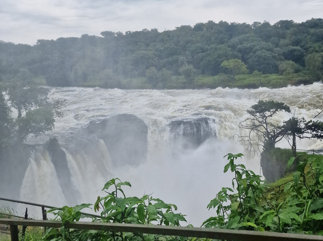 Eros Travelogue-金贾必去景点