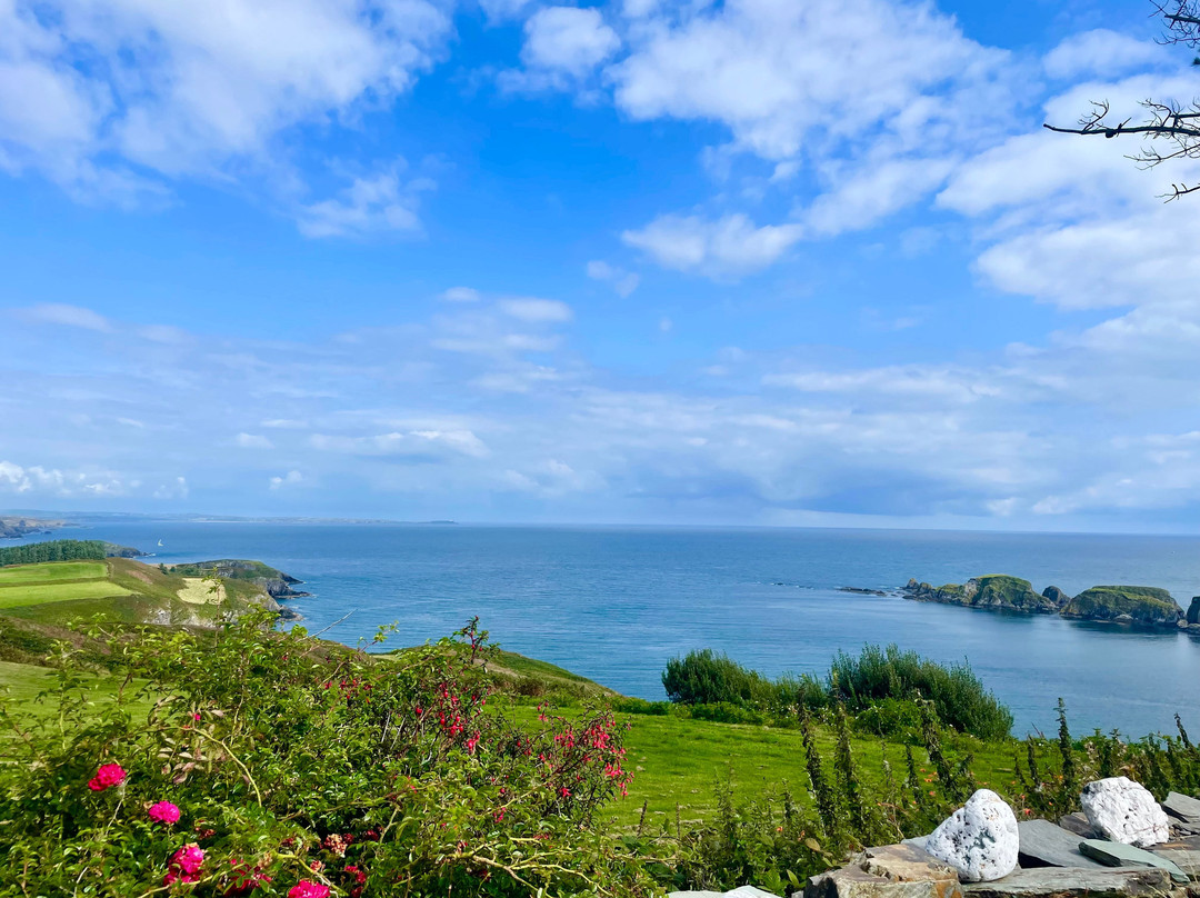 Seaside Alpacas West Cork-Union Hall必去景点
