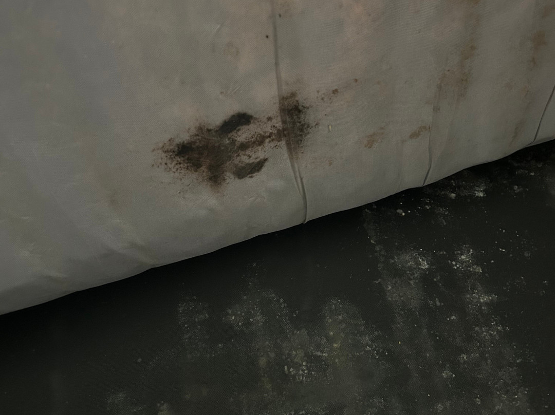 Mainstay Suites主图