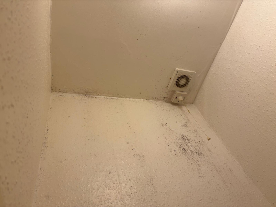 Kings Arms Hotel主图