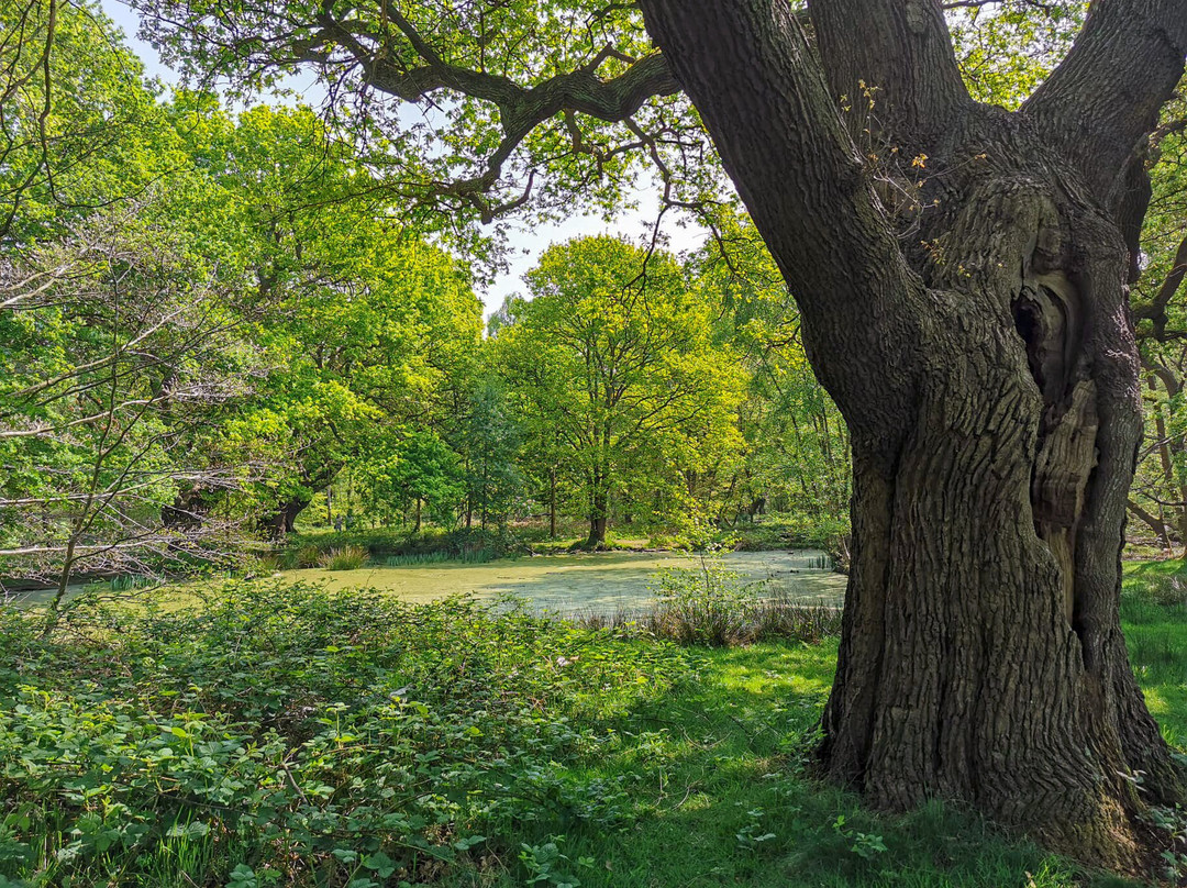 High Beach Beauty Spot