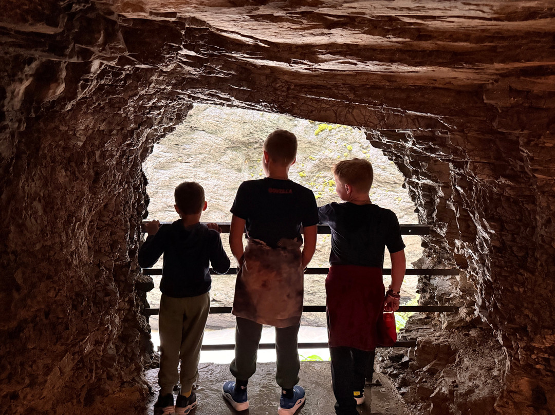 Pure Switzerland - Tours and Guiding-因特拉肯必去景点