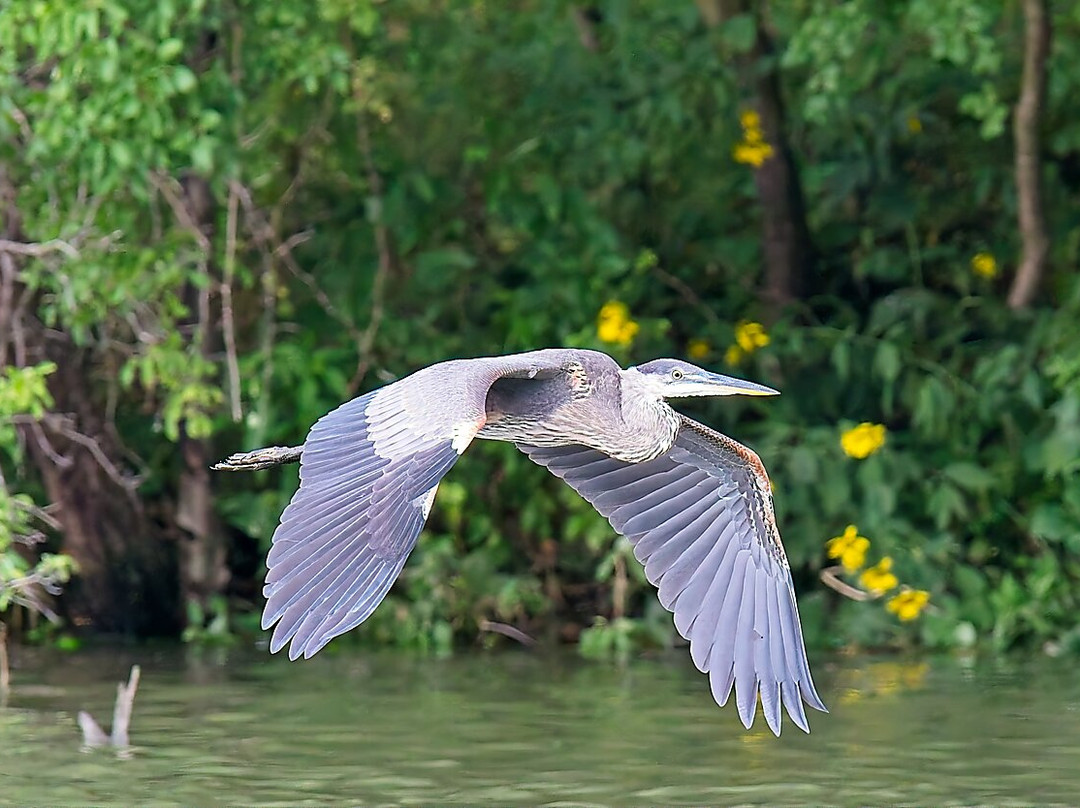 O'Connell's RV Campground Lakefront Cabin 9主图