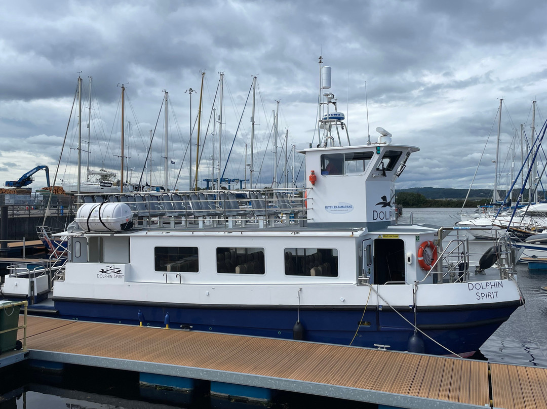 Dolphin Spirit Inverness-因弗内斯必去景点