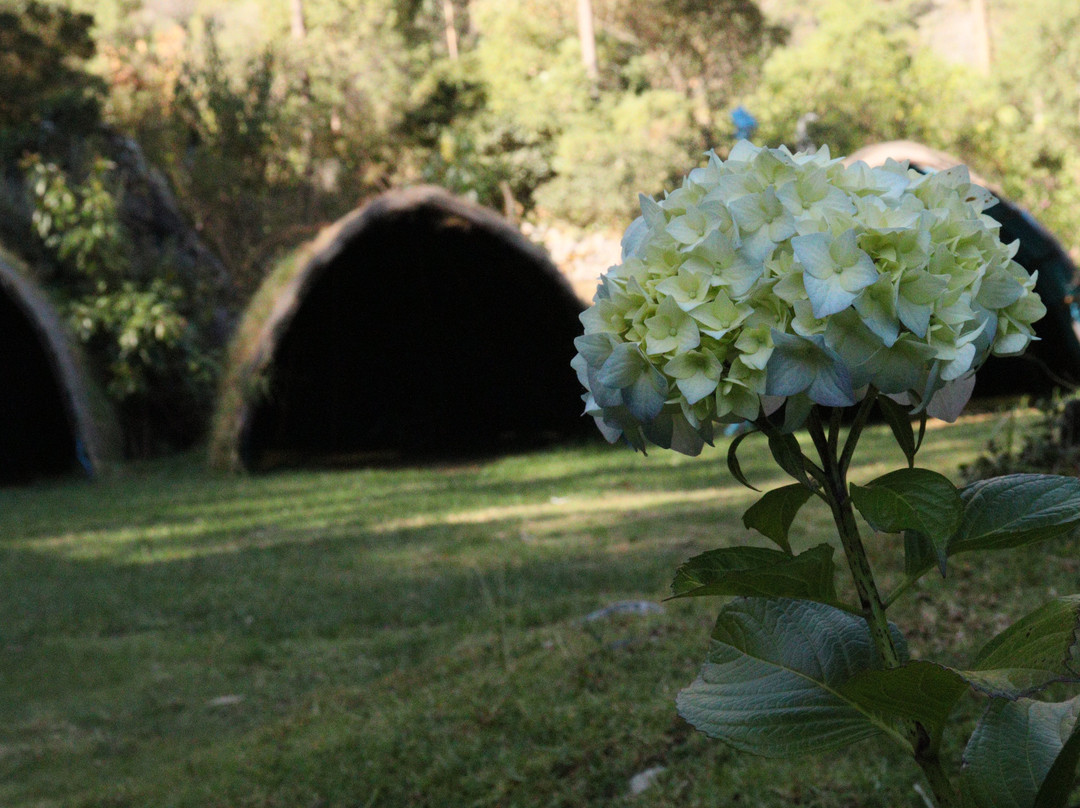 Santuario de colibríes - Ensifera Ensifera-乌鲁班巴必去景点
