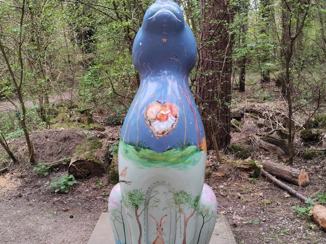 Holt Country Park-诺威奇必去景点