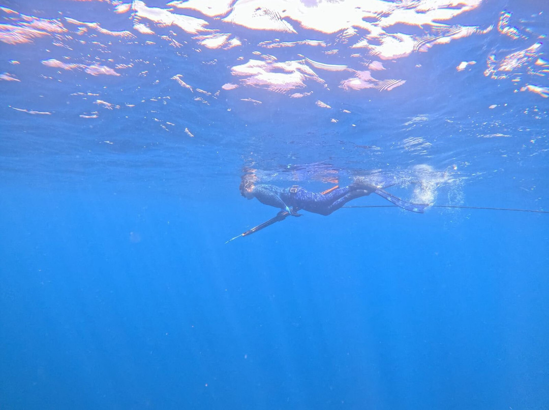 Spearbaby-Santa Catalina必去景点