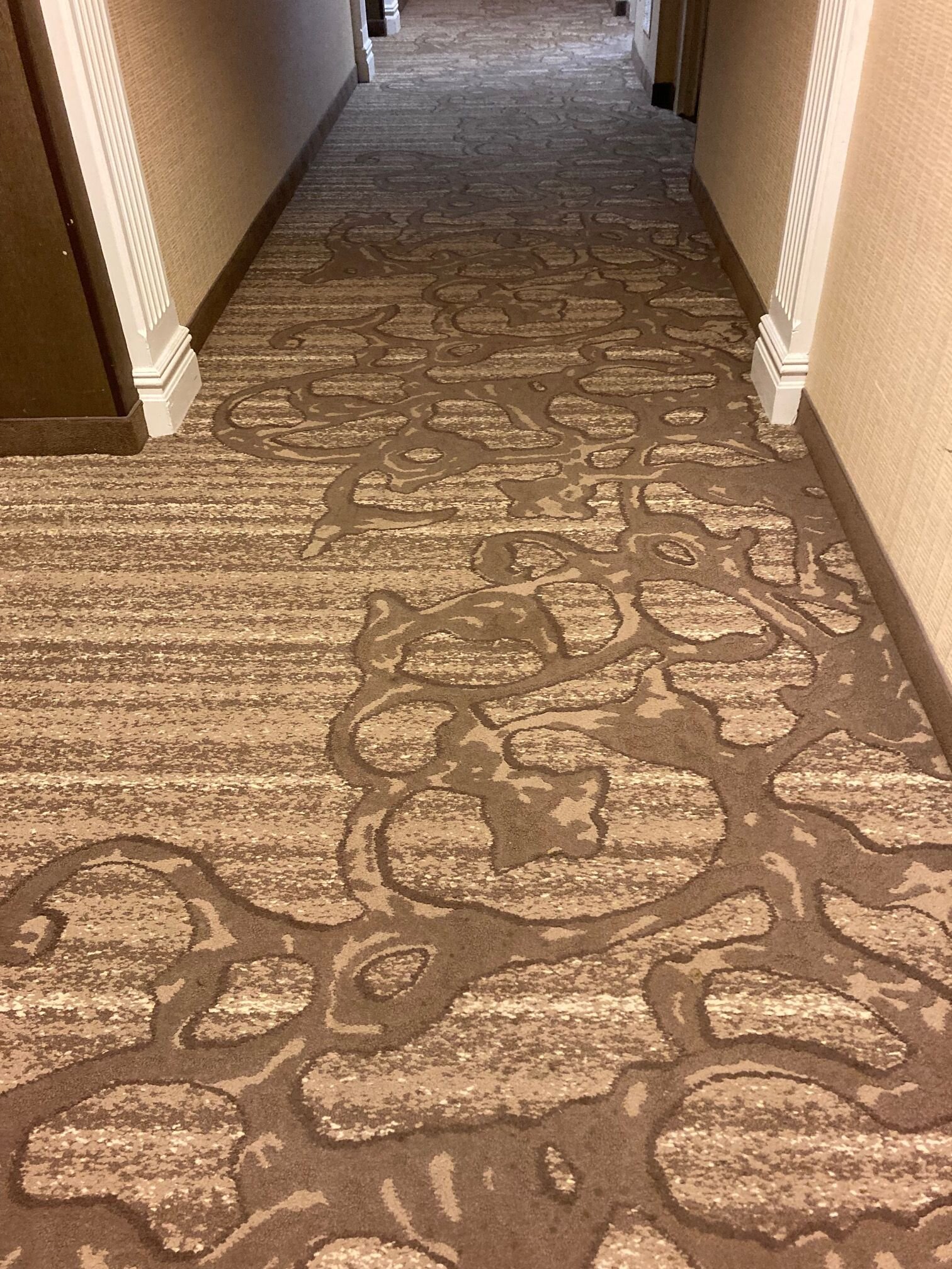 Residence Inn by Marriott West Orange-浴室