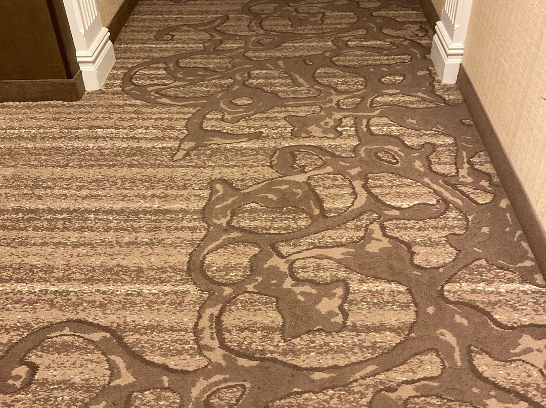 Residence Inn by Marriott West Orange主图