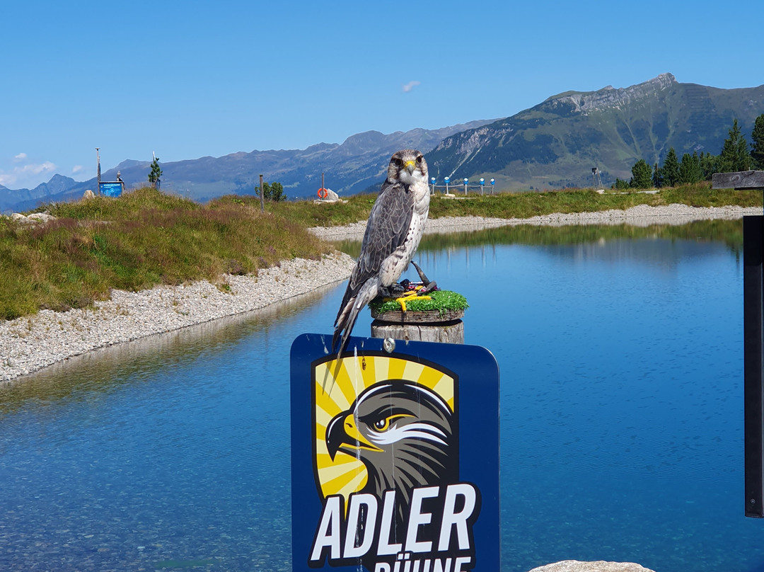 Adlerbuehne Ahorn-玛莉霍芬必去景点