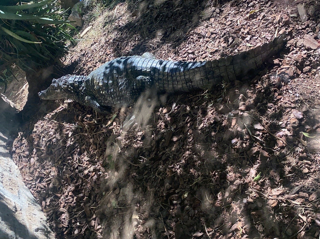 Zoa Parc Animalier et Botanique-滨海萨纳里必去景点