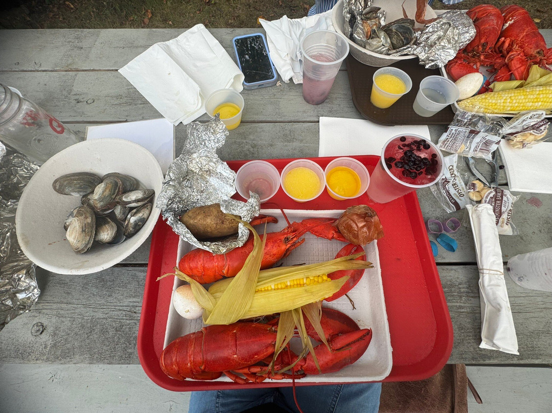 Cabbage Island-布斯贝港必去景点