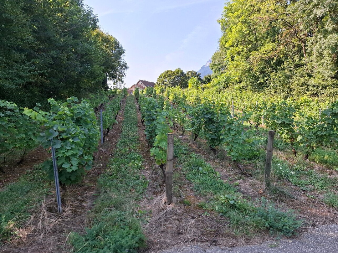 Lac de Saint-André-Les Marches必去景点