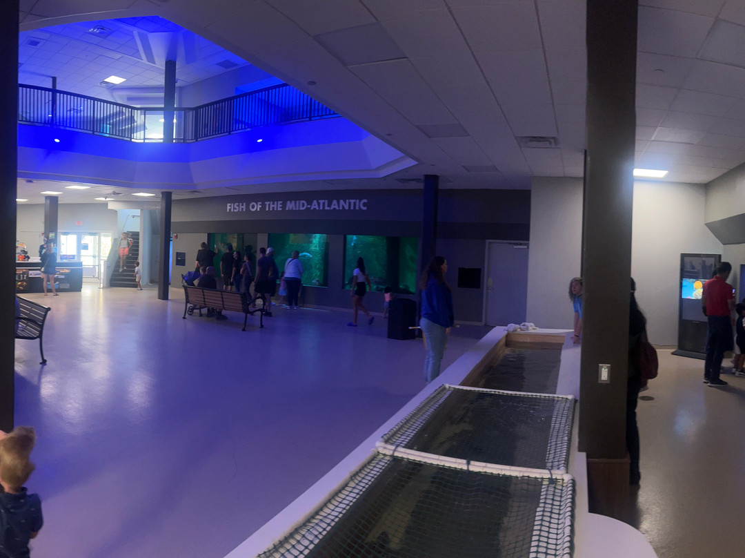 Atlantic City Aquarium Historic Gardner's Basin-大西洋城必去景点