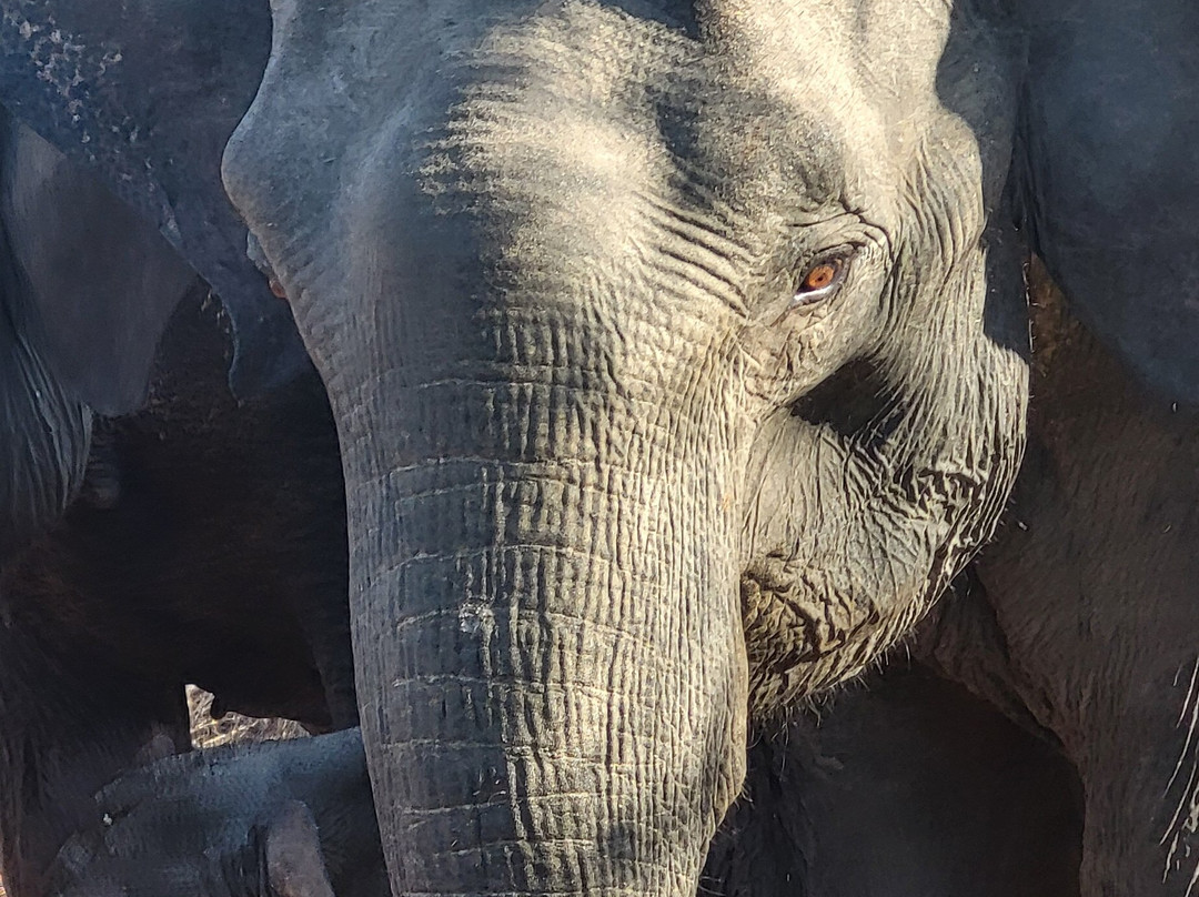 Tour In Lanka-尼甘布必去景点