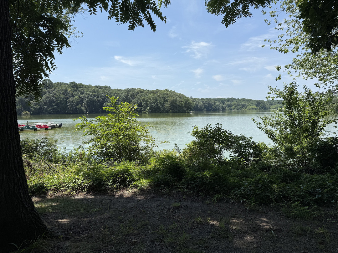 Killens Pond State Park-Felton必去景点
