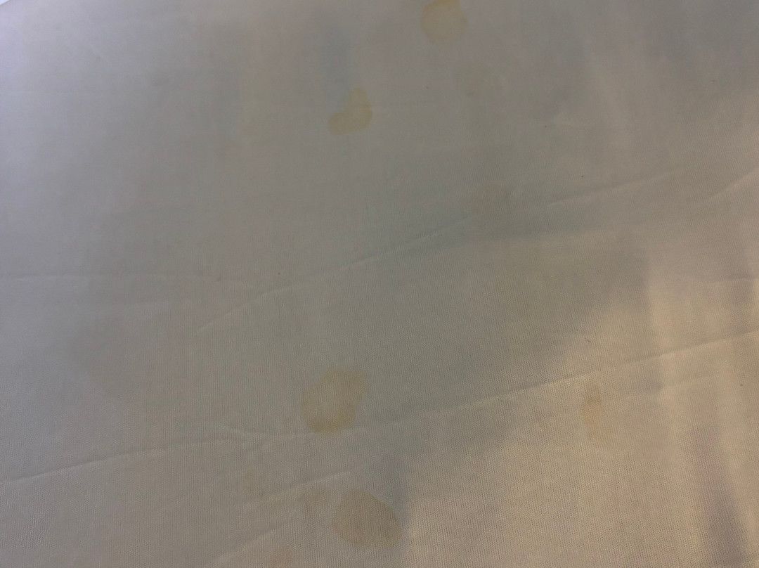 Super 8 by Wyndham Monticello主图